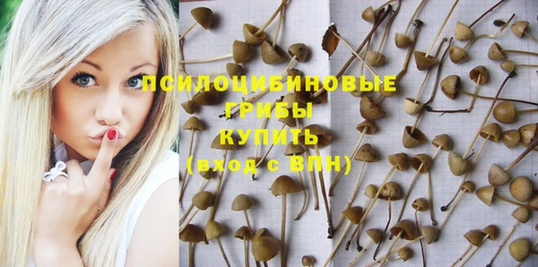 мескалин Алексеевка